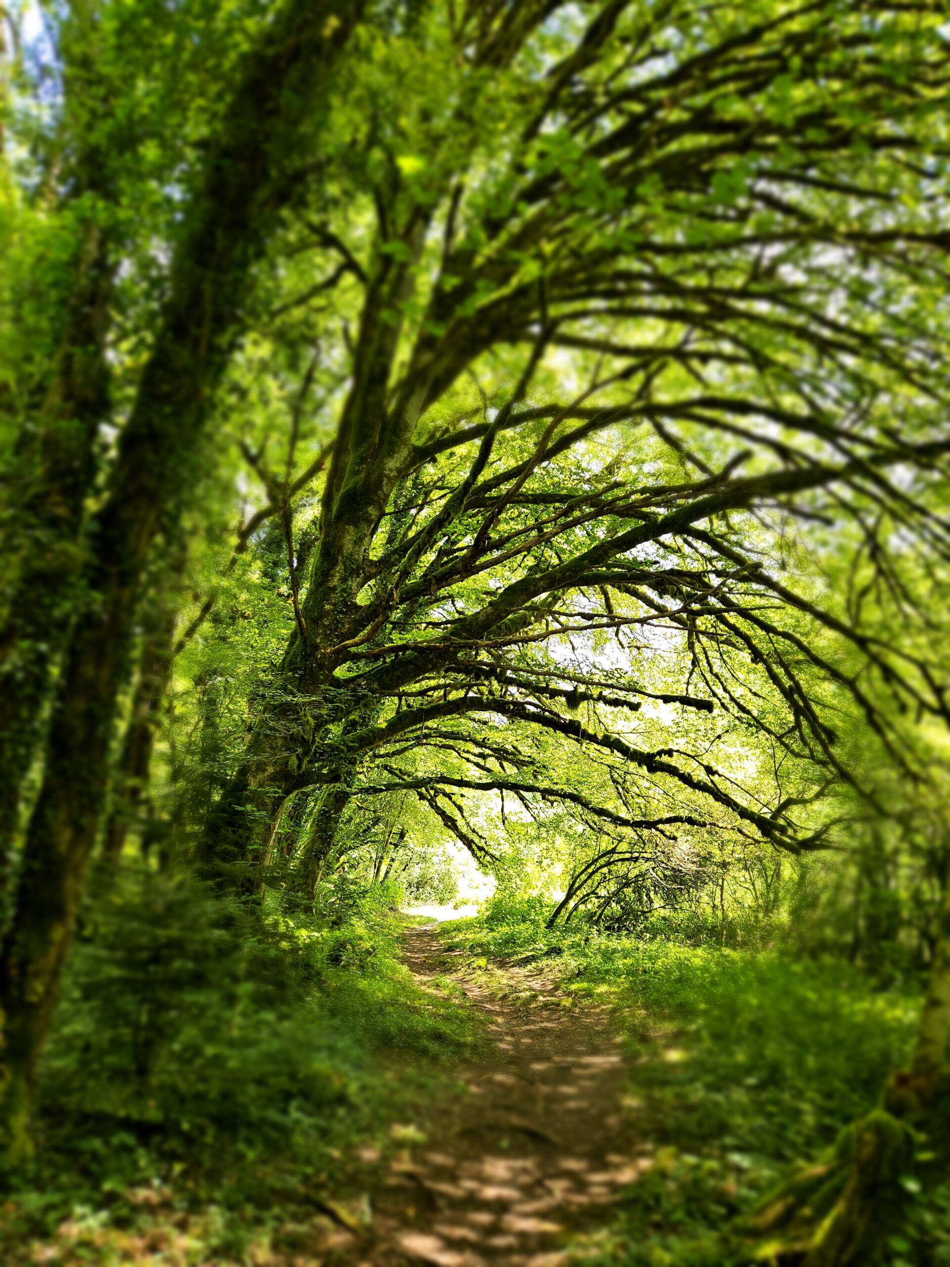 être légitime qui je suis