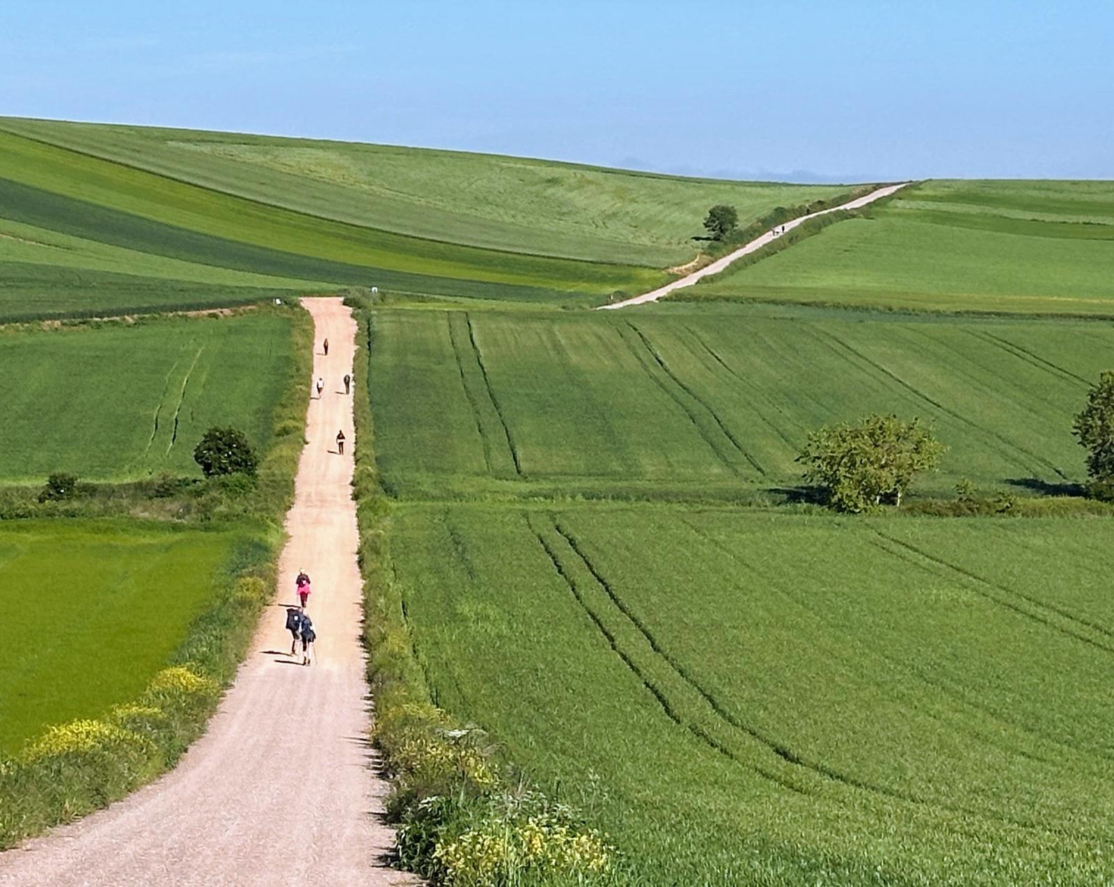 Accompagnement Vevey Jongny Montreux coach hypno
